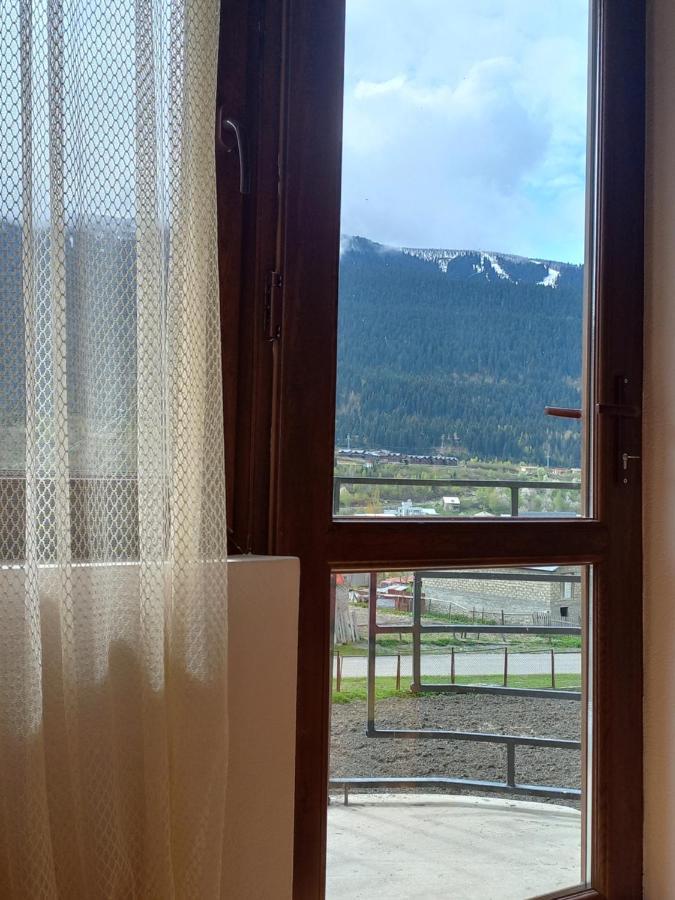 Saba Hotel Mestia Eksteriør billede